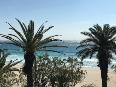 実は６年前から、繋がっていた。