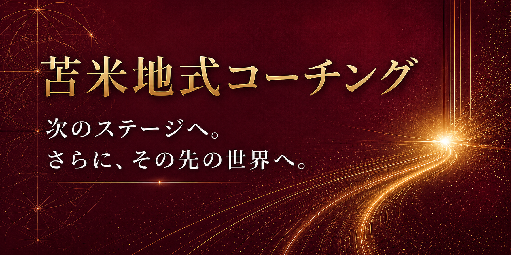 苫米地式コーチング
