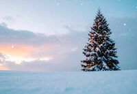 クリスマスの朝、心が平和であること