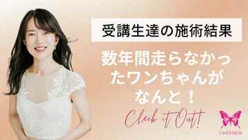数年間走らなかったワンちゃんが走った！わずか2週間のヒーリングで結果が出た秘密
