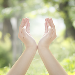 眼圧が高く、視神経が弱っている（心も？）